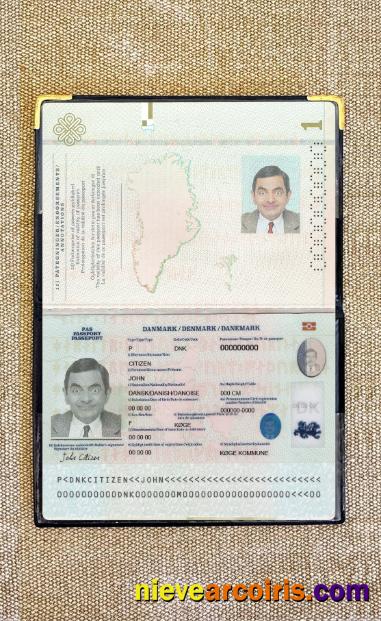 Denmark passport 2022-present photolook